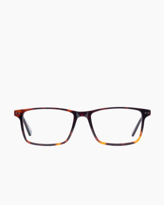 Evolve - Willis - 336 | Bar à lunettes