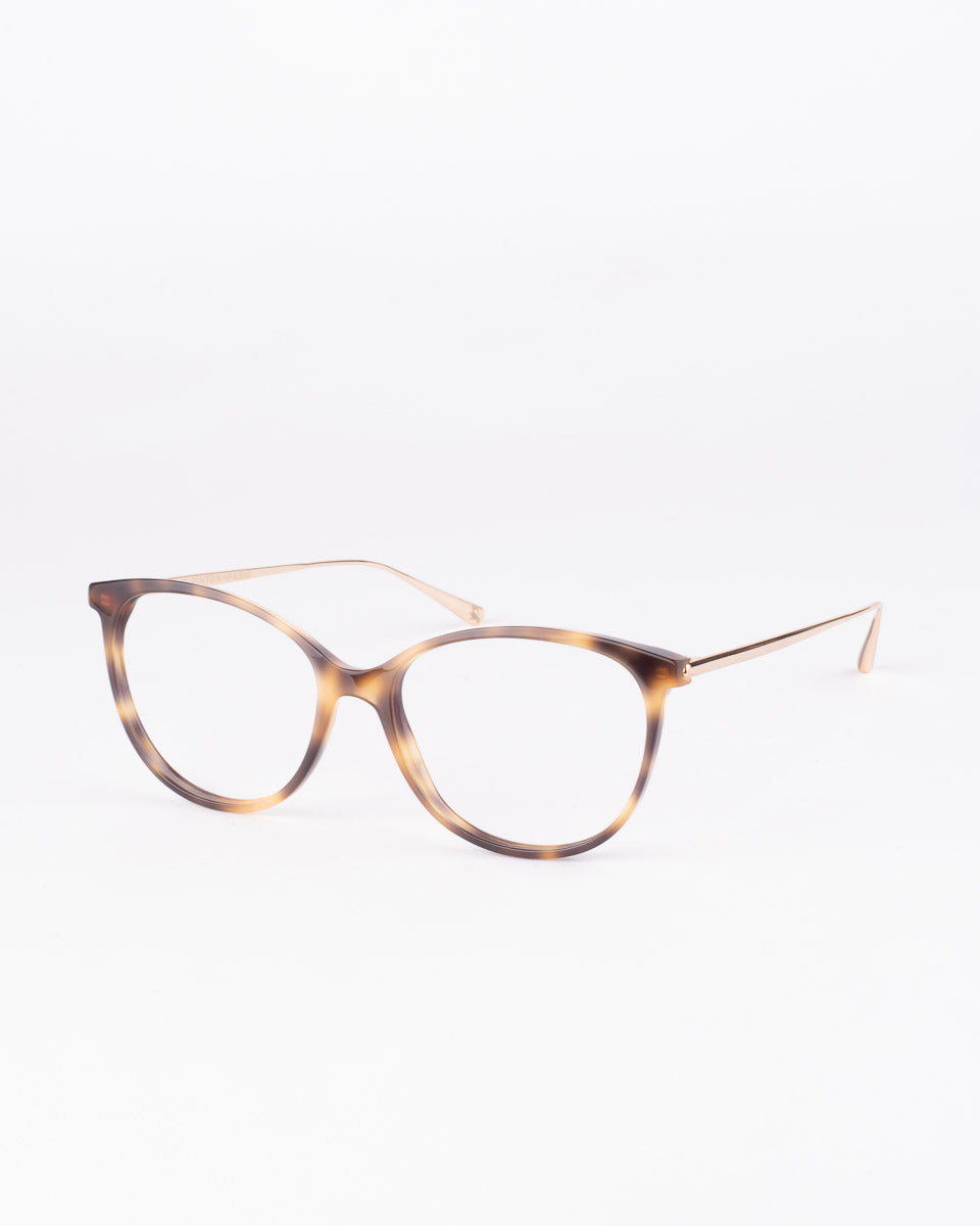tortoise plastic butterfly eyeglasses by Francois Pinton model Gypset3, front view, lunettes de vue Écaille de tortue papillon