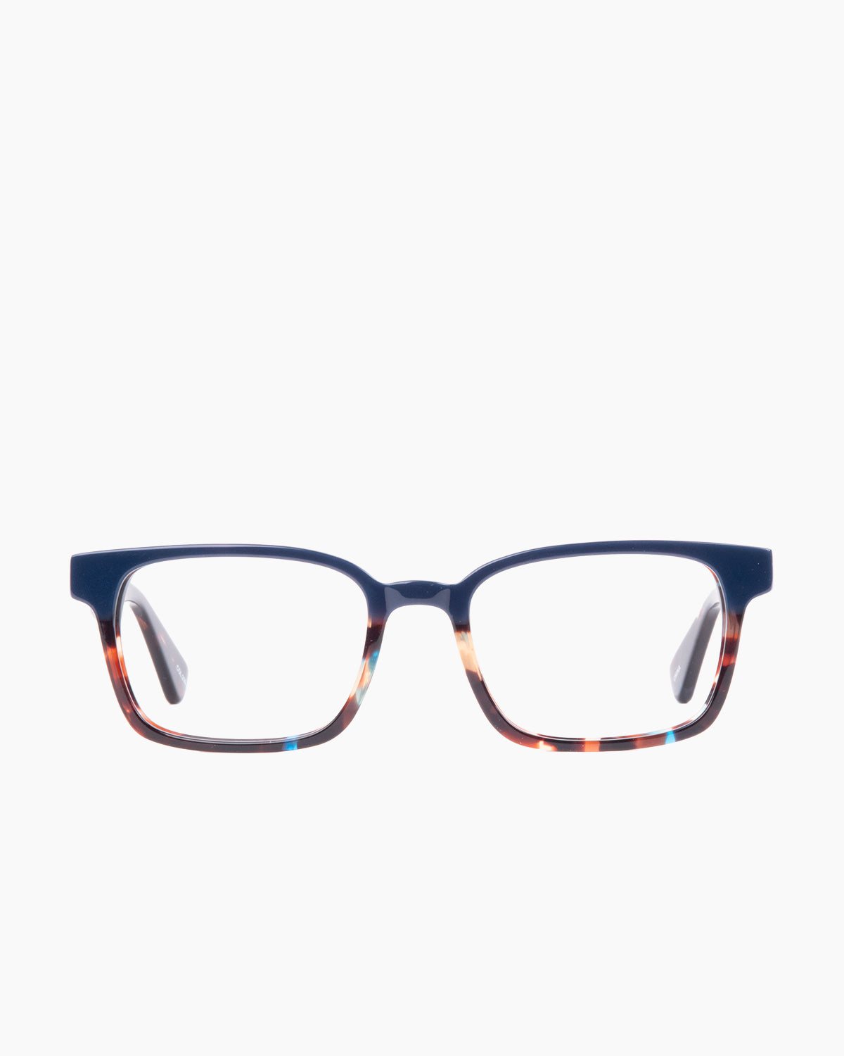 Evolve - Russel - 239 | Bar à lunettes