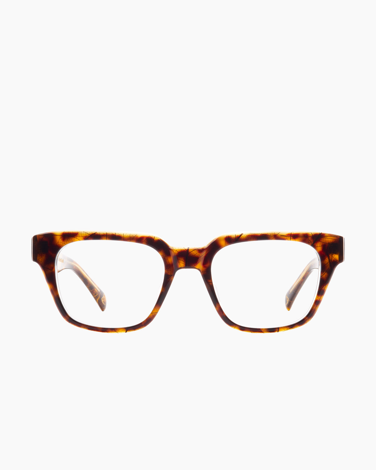 tortoise plastic rectangle eyeglasses by Spectacleeyeworks model , front view, lunettes de vue écaille de tortue rectangle