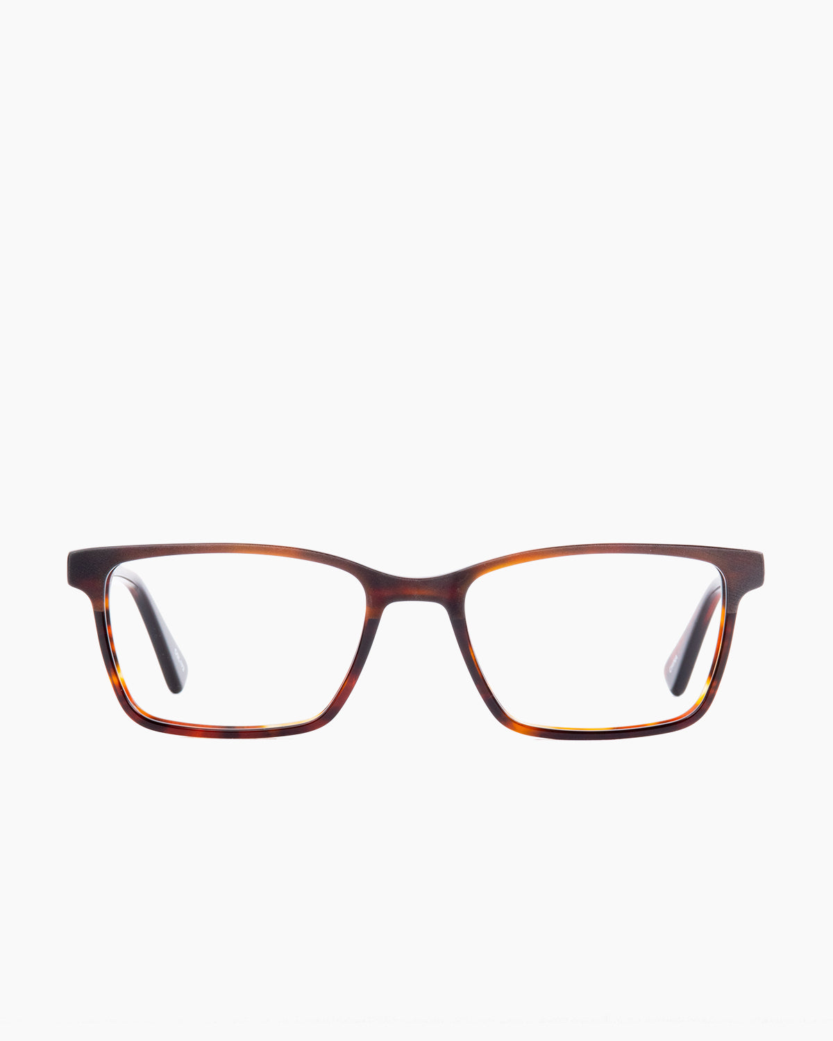 Evolve - Garfield - 172 | glasses bar